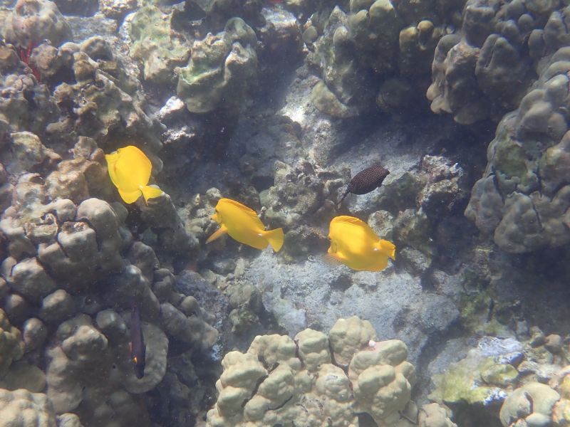 Viewing photos→2025→2025-07-27→22