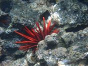 23.jpg - 2025:07:29 23:45:32