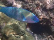 24.jpg - 2025:07:29 23:45:58