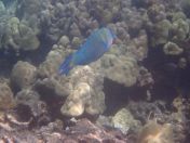 25.jpg - 2025:07:29 23:46:04