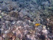 26.jpg - 2025:07:29 23:47:42