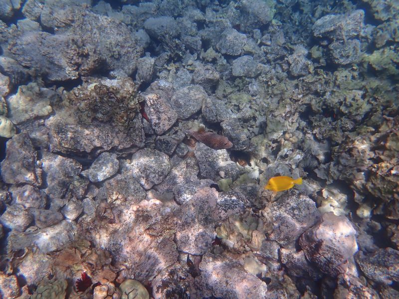 Viewing photos→2025→2025-07-27→26