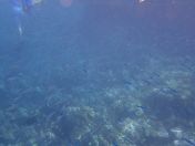 27.jpg - 2025:07:29 23:48:56