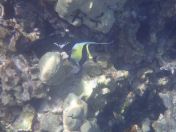 30.jpg - 2025:07:29 23:49:47