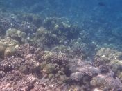 31.jpg - 2025:07:29 23:50:12