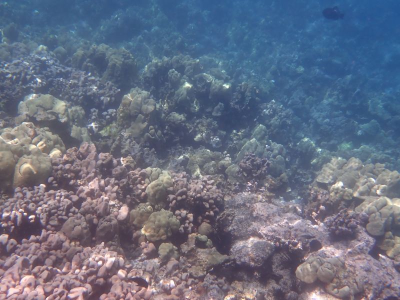 Viewing photos→2025→2025-07-27→31