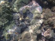 32.jpg - 2025:07:29 23:50:44