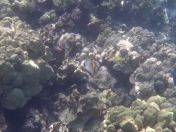 35.jpg - 2025:07:29 23:52:00