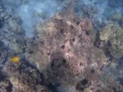 37.jpg - 2025:07:29 23:53:48