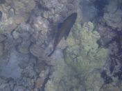 38.jpg - 2025:07:29 23:54:37