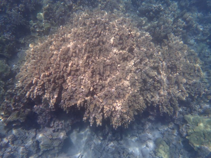 Viewing photos→2025→2025-07-27→39