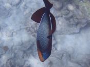 40.jpg - 2025:07:29 23:56:54