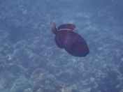 41.jpg - 2025:07:29 23:57:08