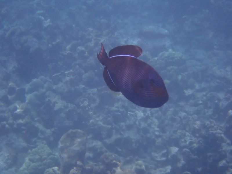 Viewing photos→2025→2025-07-27→41