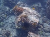 43.jpg - 2025:07:29 23:57:43