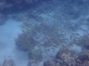 44.jpg - 2025:07:29 23:58:45