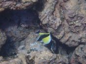 45.jpg - 2025:07:30 00:00:19