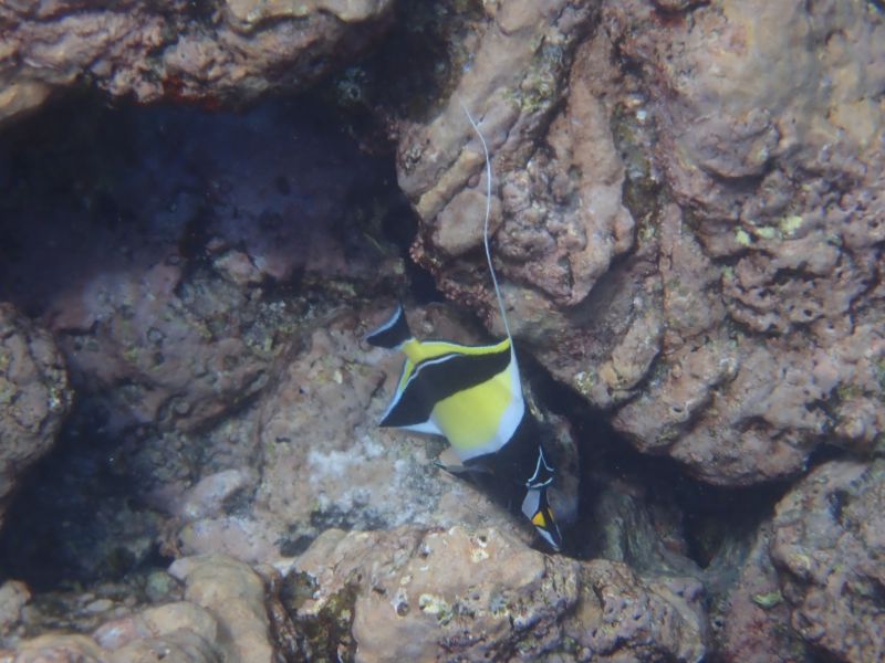 Viewing photos→2025→2025-07-27→45