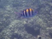 46.jpg - 2025:07:30 00:04:37