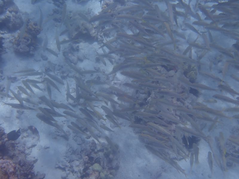 Viewing photos→2025→2025-07-27→47