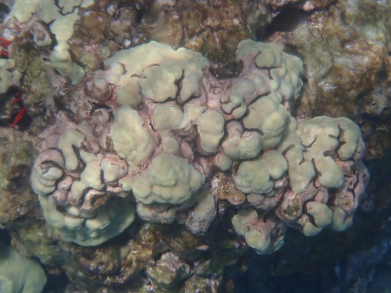 Viewing photos→2025→2025-07-27→48