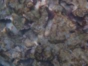 49.jpg - 2025:07:30 00:10:43