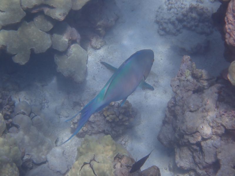 Viewing photos→2025→2025-07-27→50