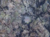 51.jpg - 2025:07:30 00:12:24