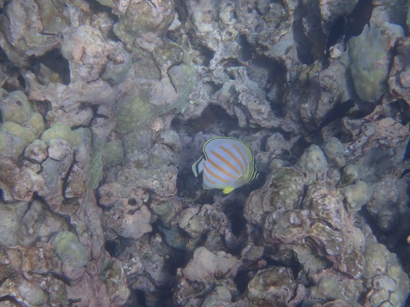 Viewing photos→2025→2025-07-27→51