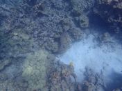 52.jpg - 2025:07:30 00:20:00