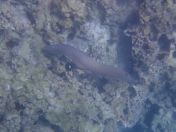 53.jpg - 2025:07:30 00:20:07