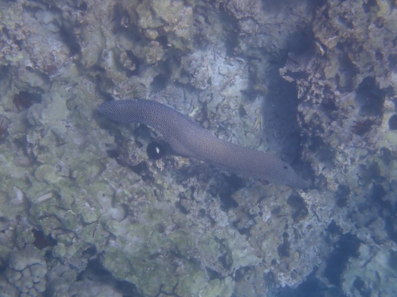 Viewing photos→2025→2025-07-27→53