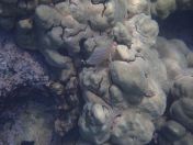 54.jpg - 2025:07:30 00:21:29