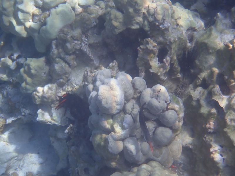 Viewing photos→2025→2025-07-27→55