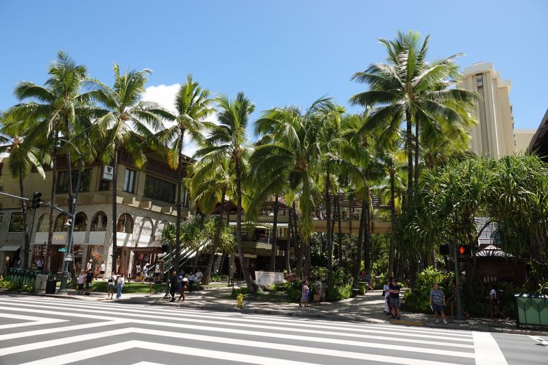 Viewing photos→2025→2025-07-30→05