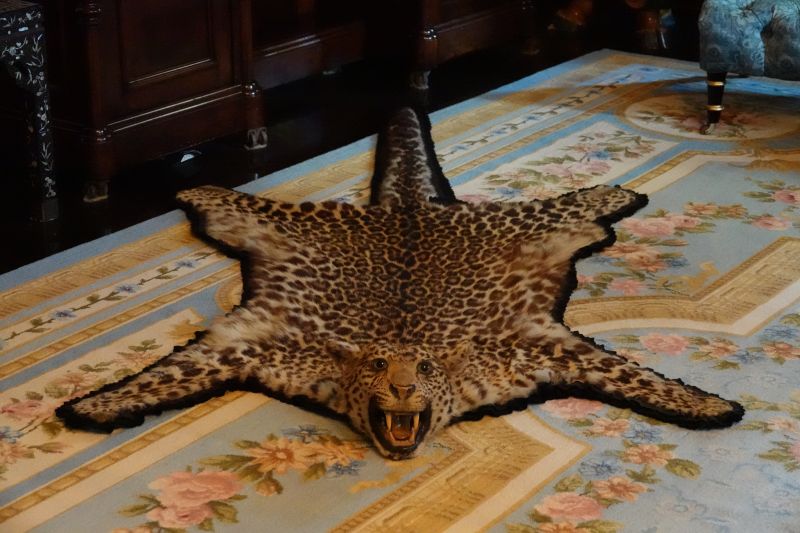 Viewing photos→2025→2025-07-30→25