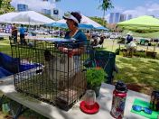 50.jpg - 2025:08:02 12:34:14