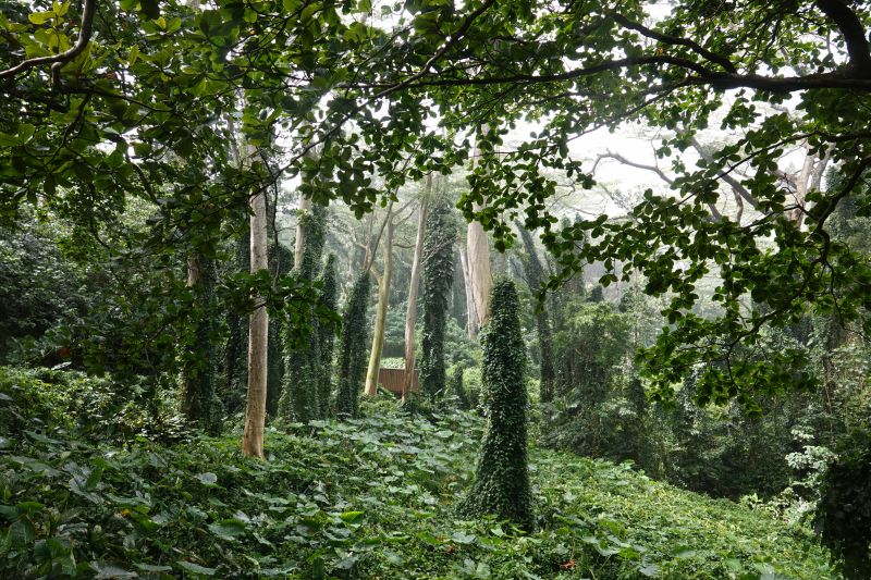 Viewing photos→2025→2025-07-30→58