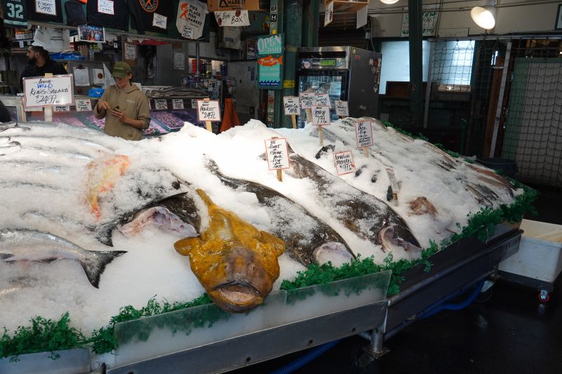 Viewing photos→2025→2025-08-04→11