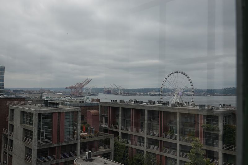 Viewing photos→2025→2025-08-04→36