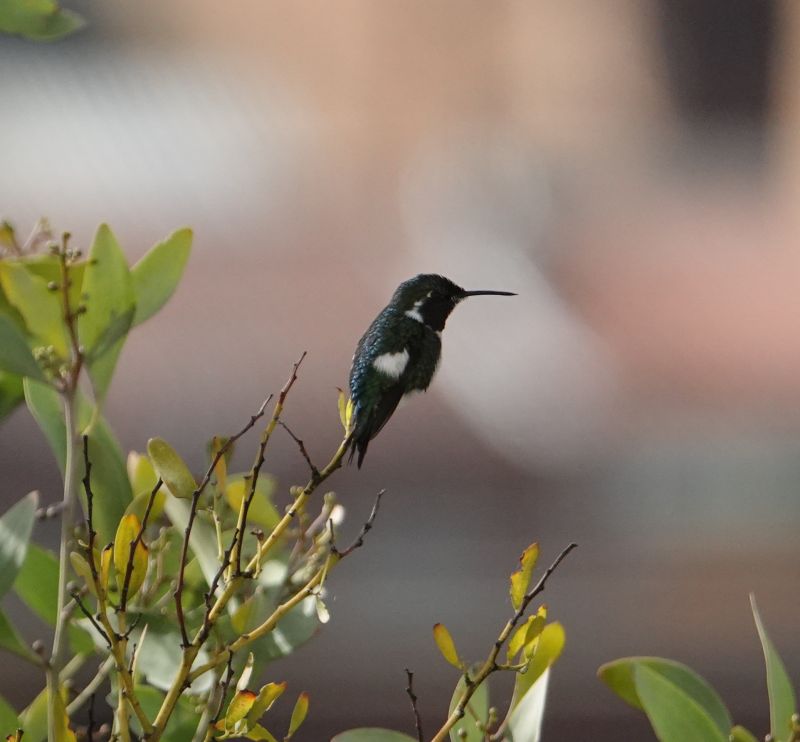 Viewing photos→2025→2025-10-14→06