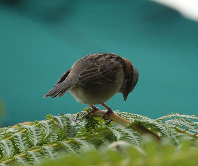 Viewing photos→2025→2025-10-14→07