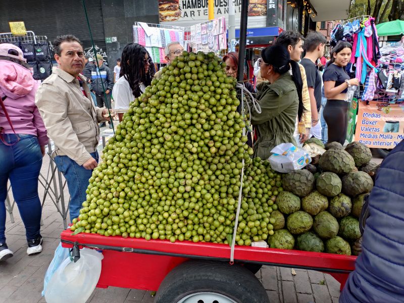 Viewing photos→2025→2025-10-14→13