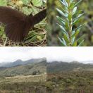 2025-10-20<br/>
<b>Parque Ecológico Matarredonda</b>
