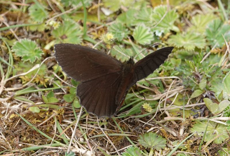 Viewing photos→2025→2025-10-20→01