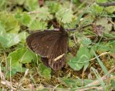 02.jpeg - 2025:10:20 10:45:33