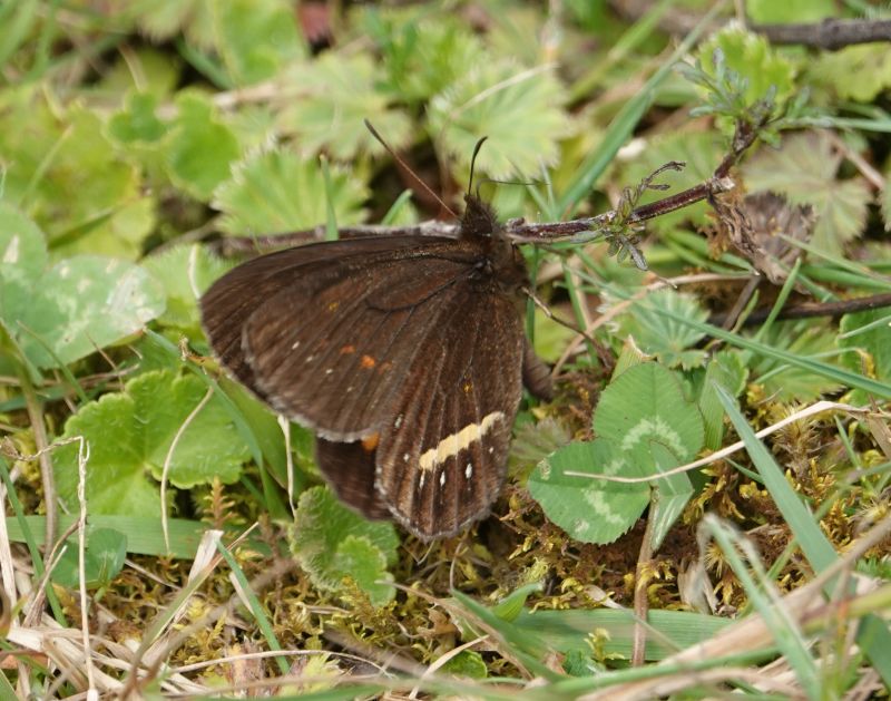 Viewing photos→2025→2025-10-20→02