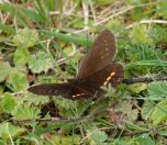 03.jpeg - 2025:10:20 10:45:35