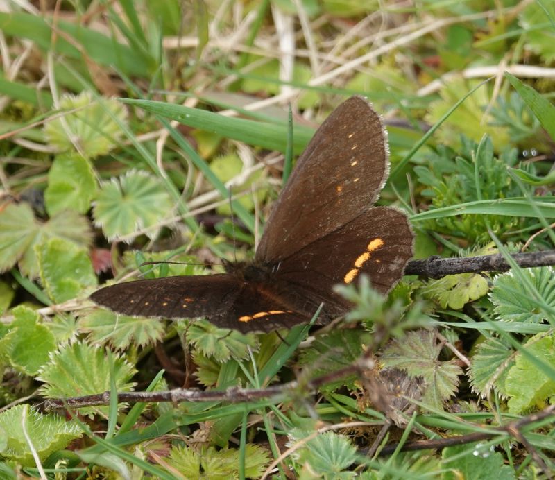 Viewing photos→2025→2025-10-20→03