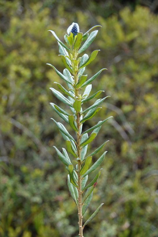 Viewing photos→2025→2025-10-20→09